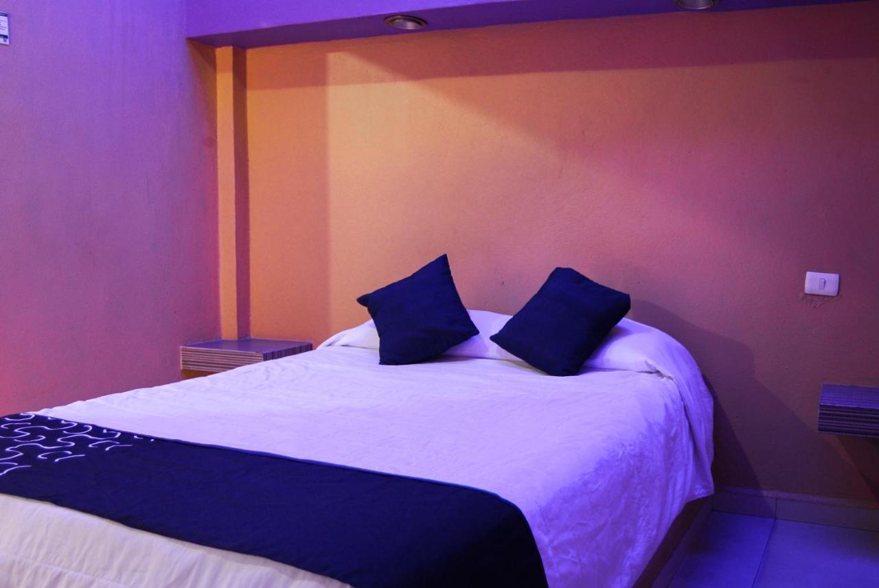 Hotel Oasis Monterrey Bagian luar foto